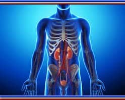 Slider image (9) Dr. Gautam Banga | Consultant Urologist and Andrologist